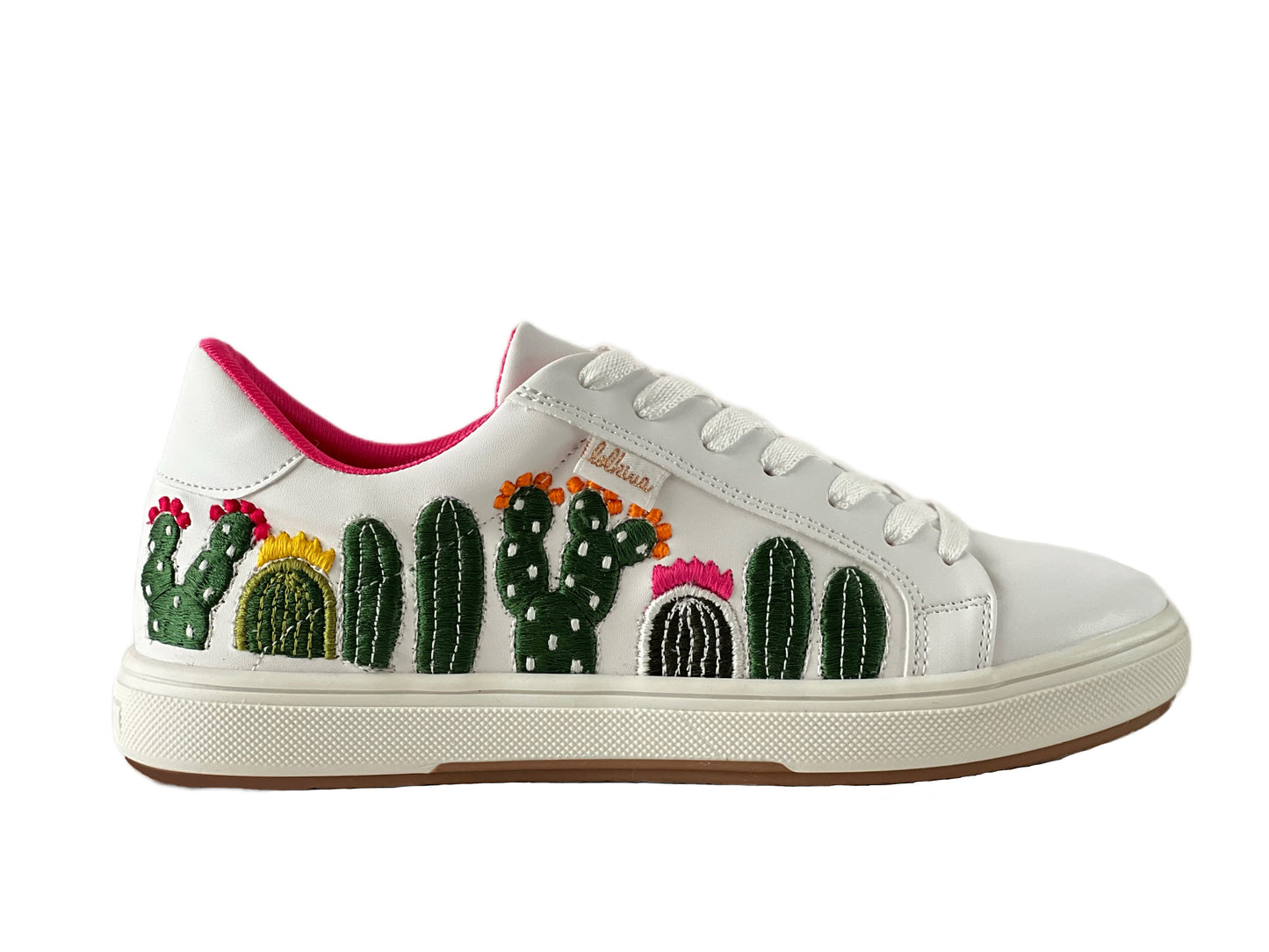 Cactus Aleydis Blanco