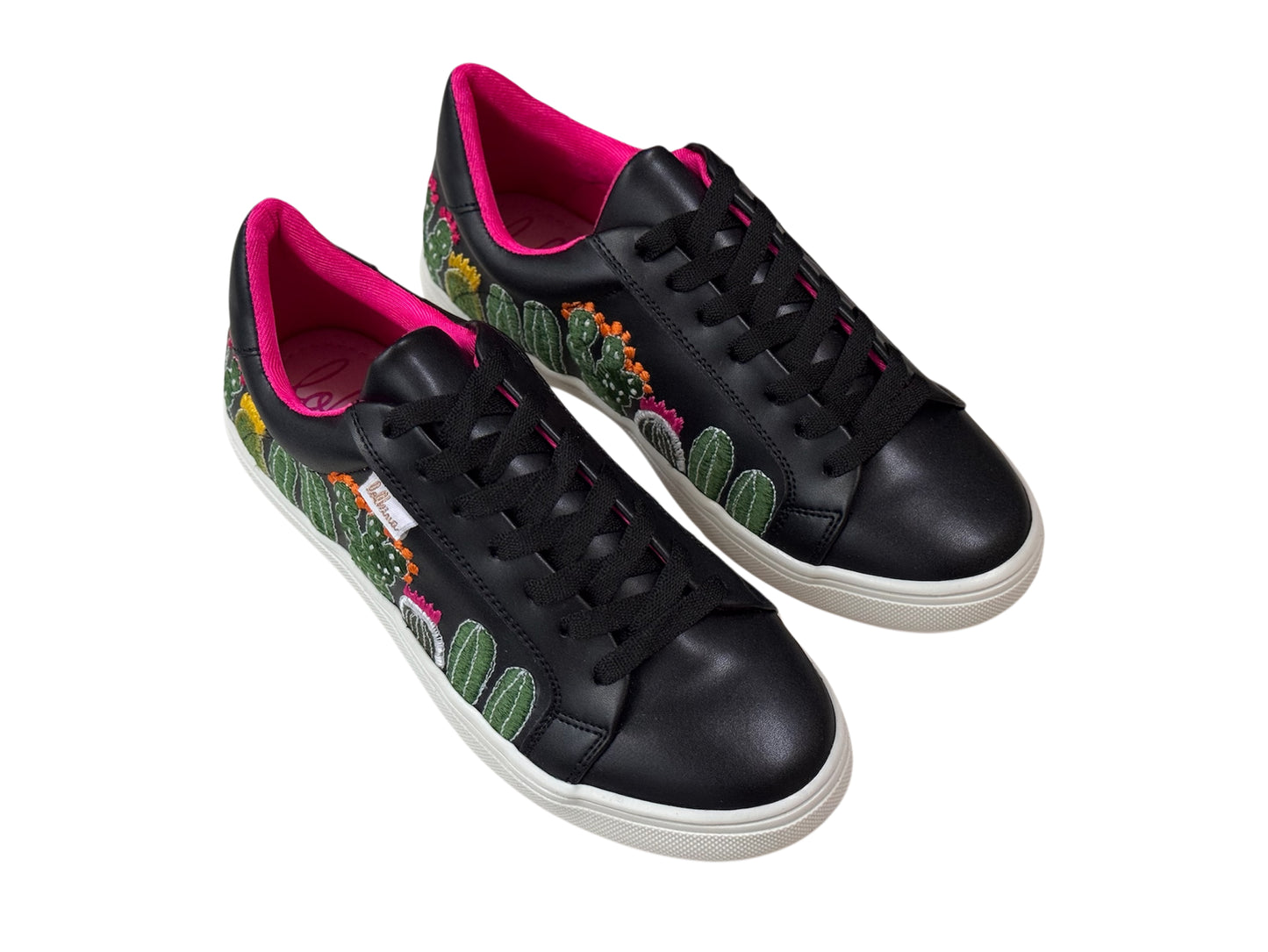 Cactus Aleydis Negro